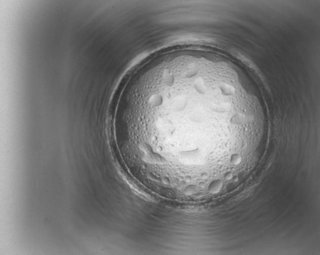 X0000080131029200612302031