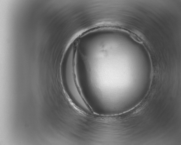 X0000080131030200612302031