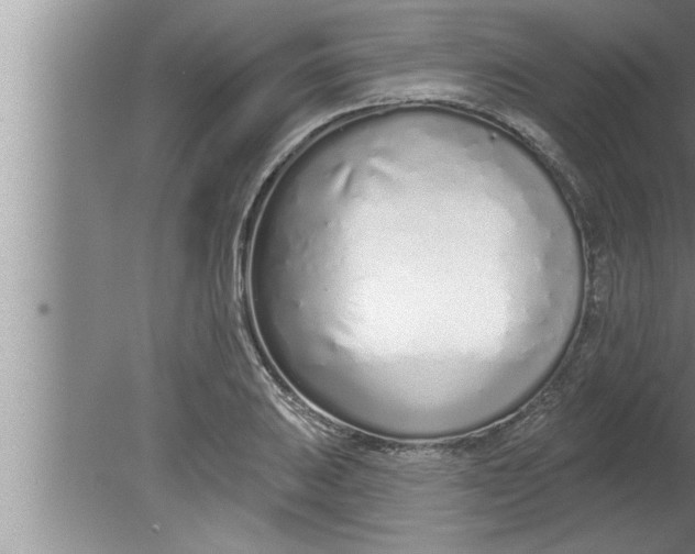 X0000080131031200612302031