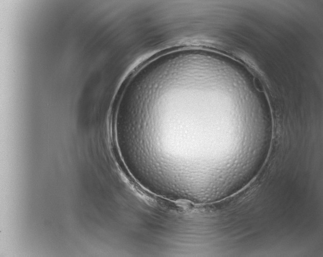 X0000080131032200612302031