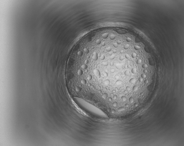 X0000080131033200612302031