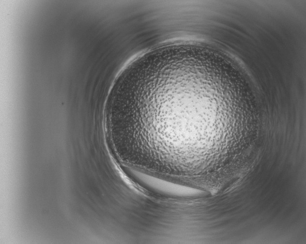 X0000080131034200612302031