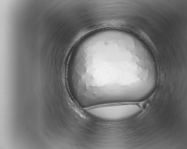 X0000080131035200612302031