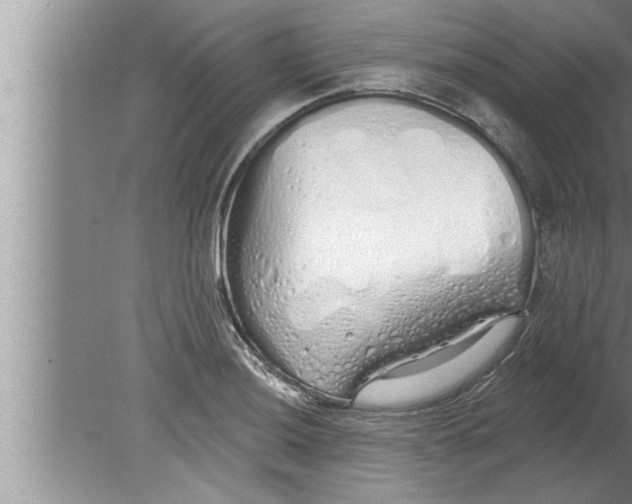 X0000080131036200612302031