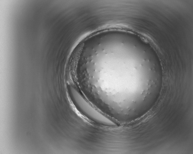 X0000080131038200612302031