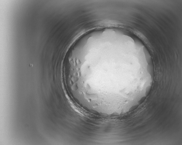 X0000080131039200612302031