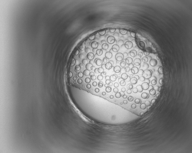 X0000080131040200612302031