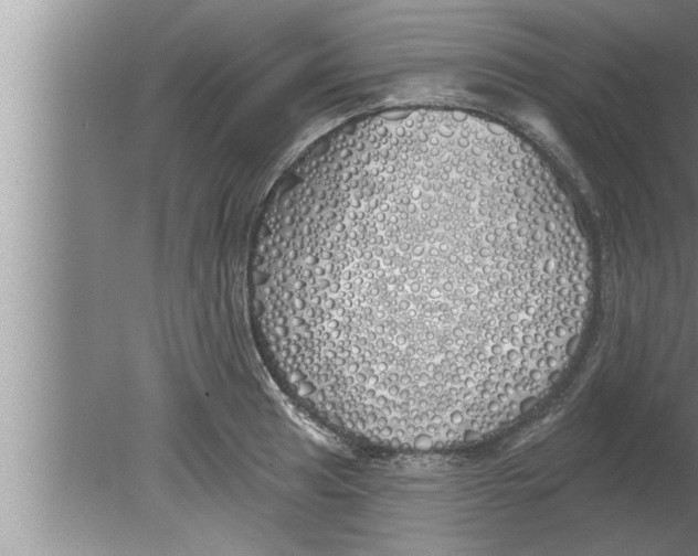 X0000080131041200612302031