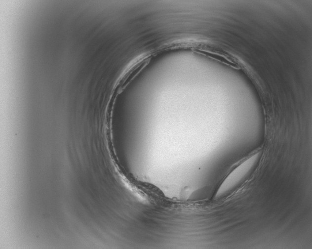 X0000080131042200612302031