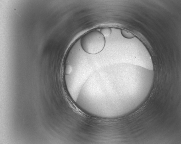 X0000080131044200612302031