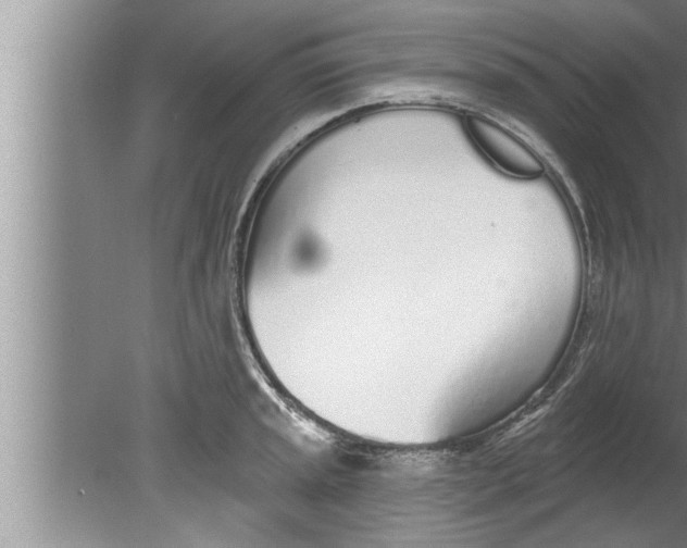 X0000080131045200612302031