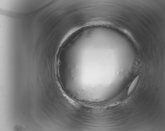 X0000080131046200612302031