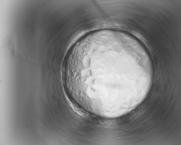 X0000080131047200612302031