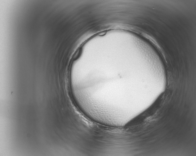 X0000080131048200612302031