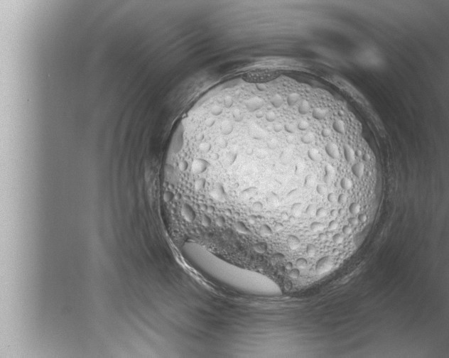 X0000080131049200612302031