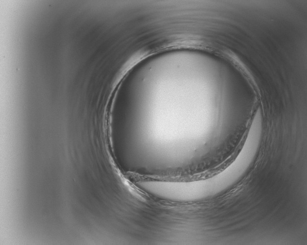 X0000080131050200612302031