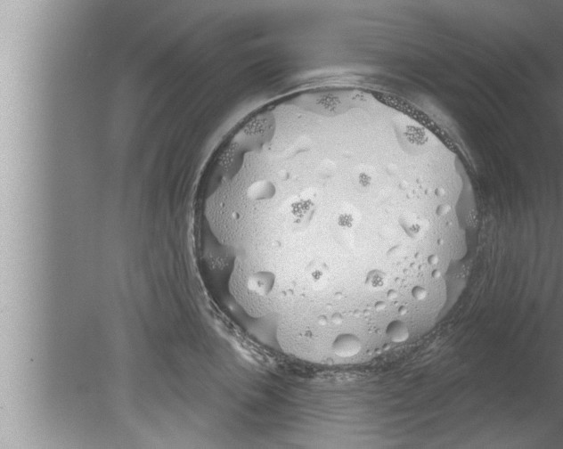 X0000080131051200612302031