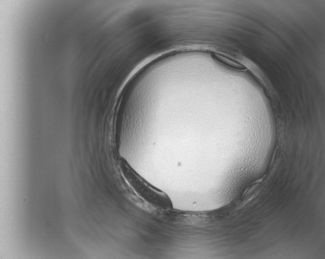 X0000080131052200612302031