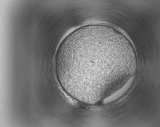 X0000080131053200612302031