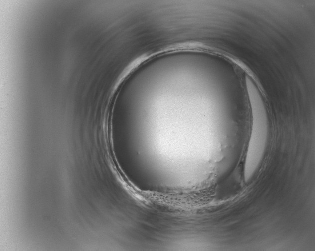 X0000080131054200612302031