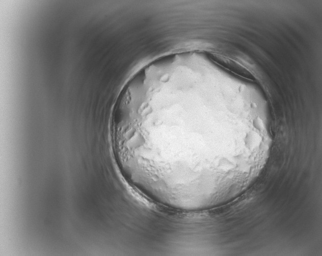 X0000080131055200612302031