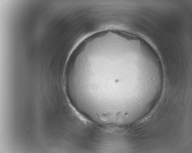 X0000080131056200612302031