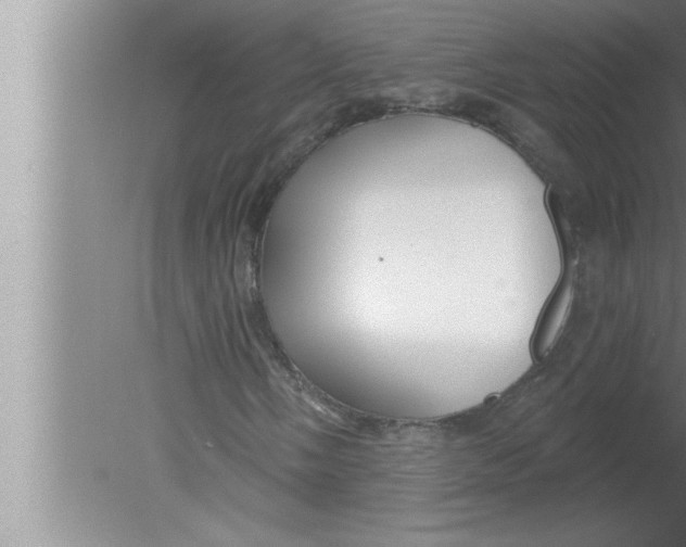 X0000080131058200612302030