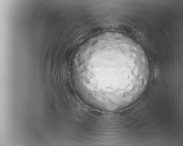 X0000080131059200612302030