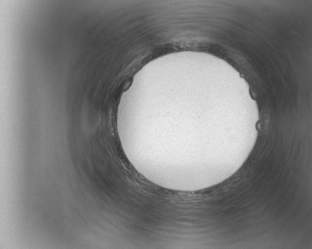 X0000080131060200612302030