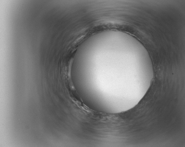 X0000080131061200612302030