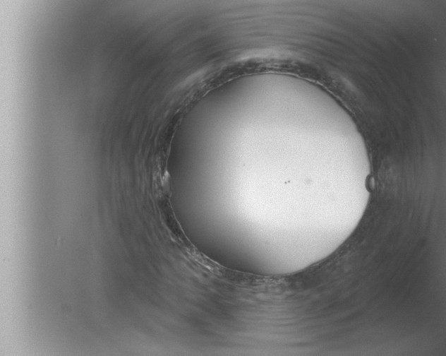 X0000080131062200612302030