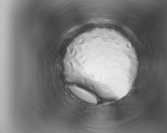 X0000080131063200612302030