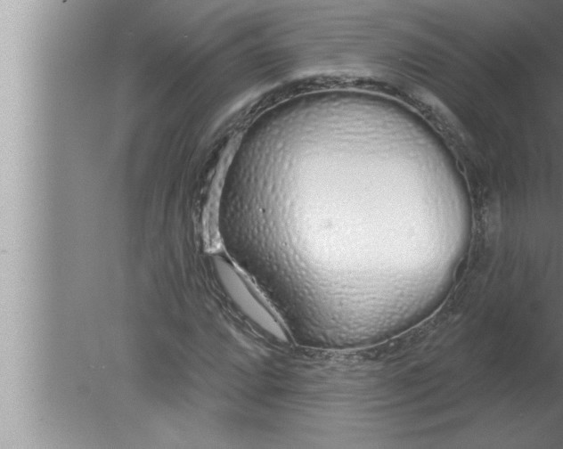 X0000080131064200612302030