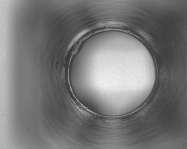 X0000080131066200612302030