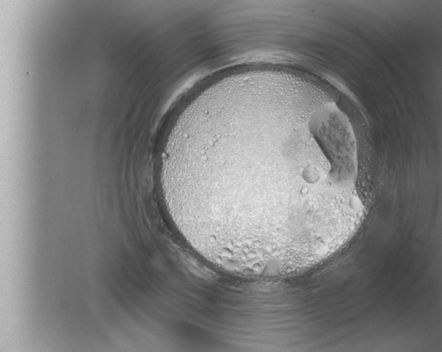 X0000080131067200612302030