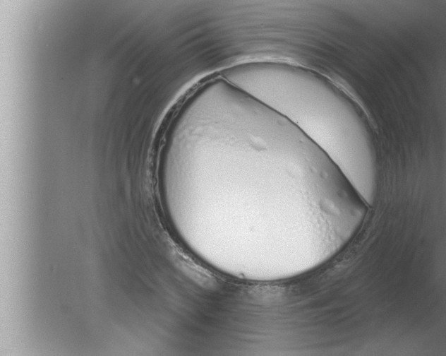 X0000080131068200612302030