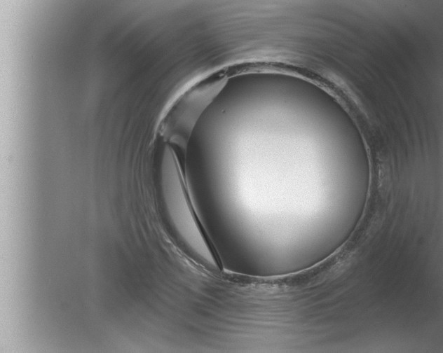 X0000080131069200612302030