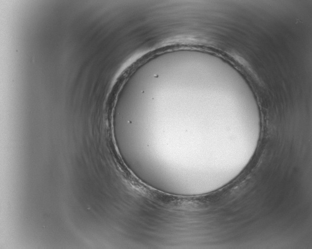 X0000080131070200612302030