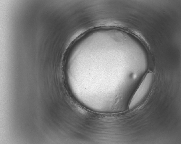 X0000080131071200612302030