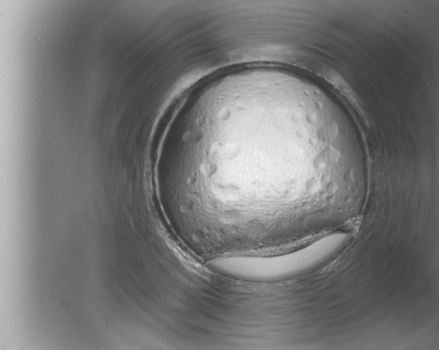 X0000080131072200612302030