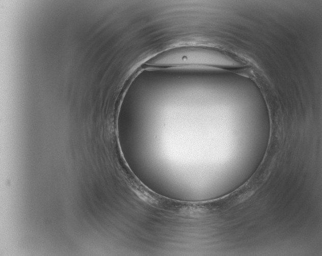 X0000080131073200612302030