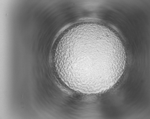 X0000080131074200612302030