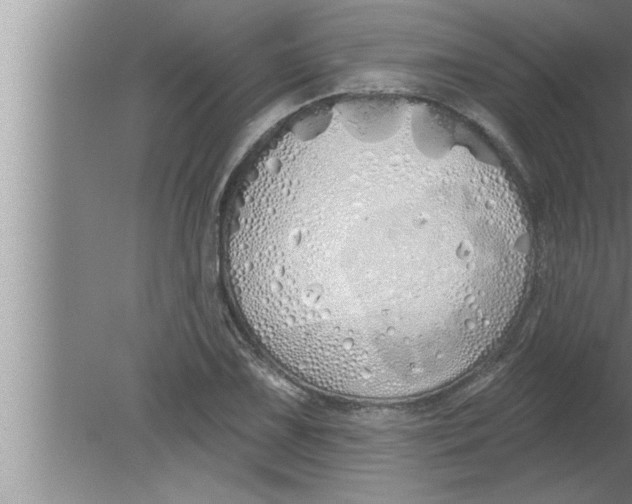 X0000080131075200612302030