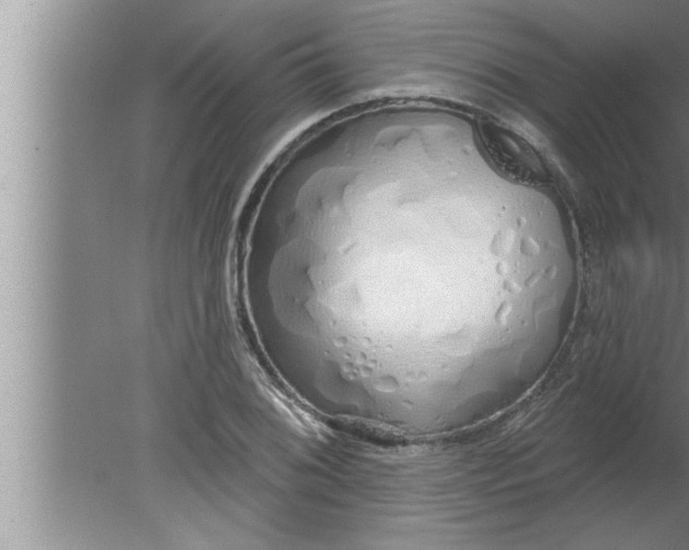 X0000080131076200612302030