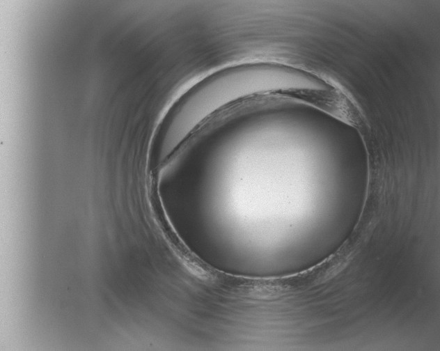 X0000080131077200612302030