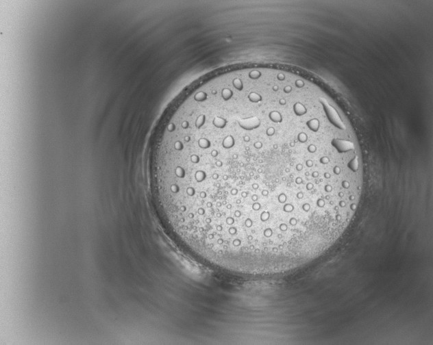 X0000080131078200612302030