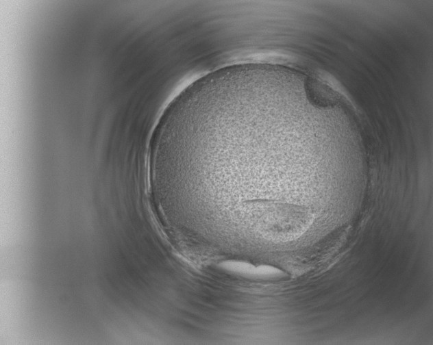 X0000080131079200612302030