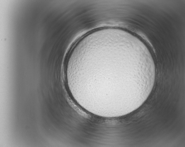 X0000080131080200612302030