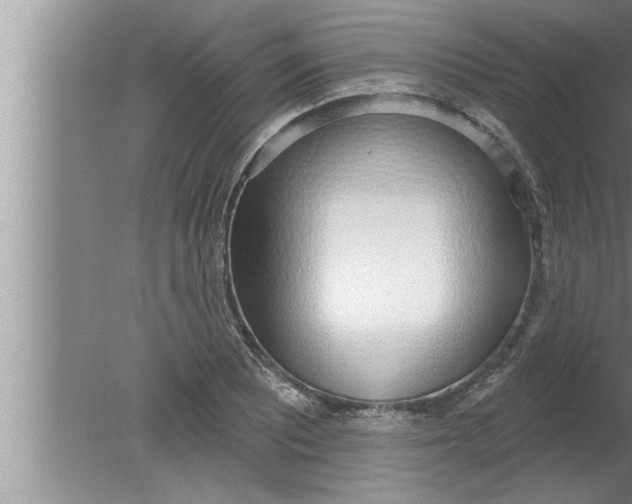 X0000080131081200612302030