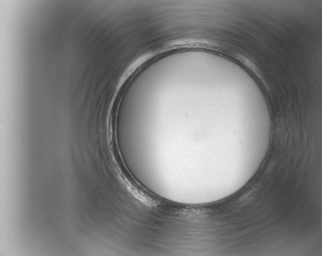 X0000080131082200612302030